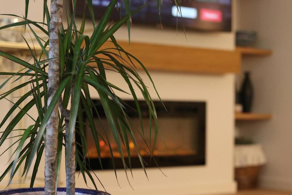 Benicàssim Lc Apartaments Voramar מראה חיצוני תמונה