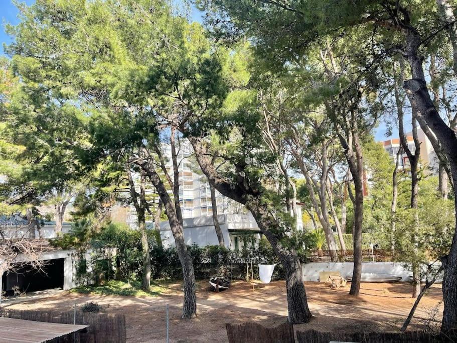 Benicàssim Lc Apartaments Voramar מראה חיצוני תמונה